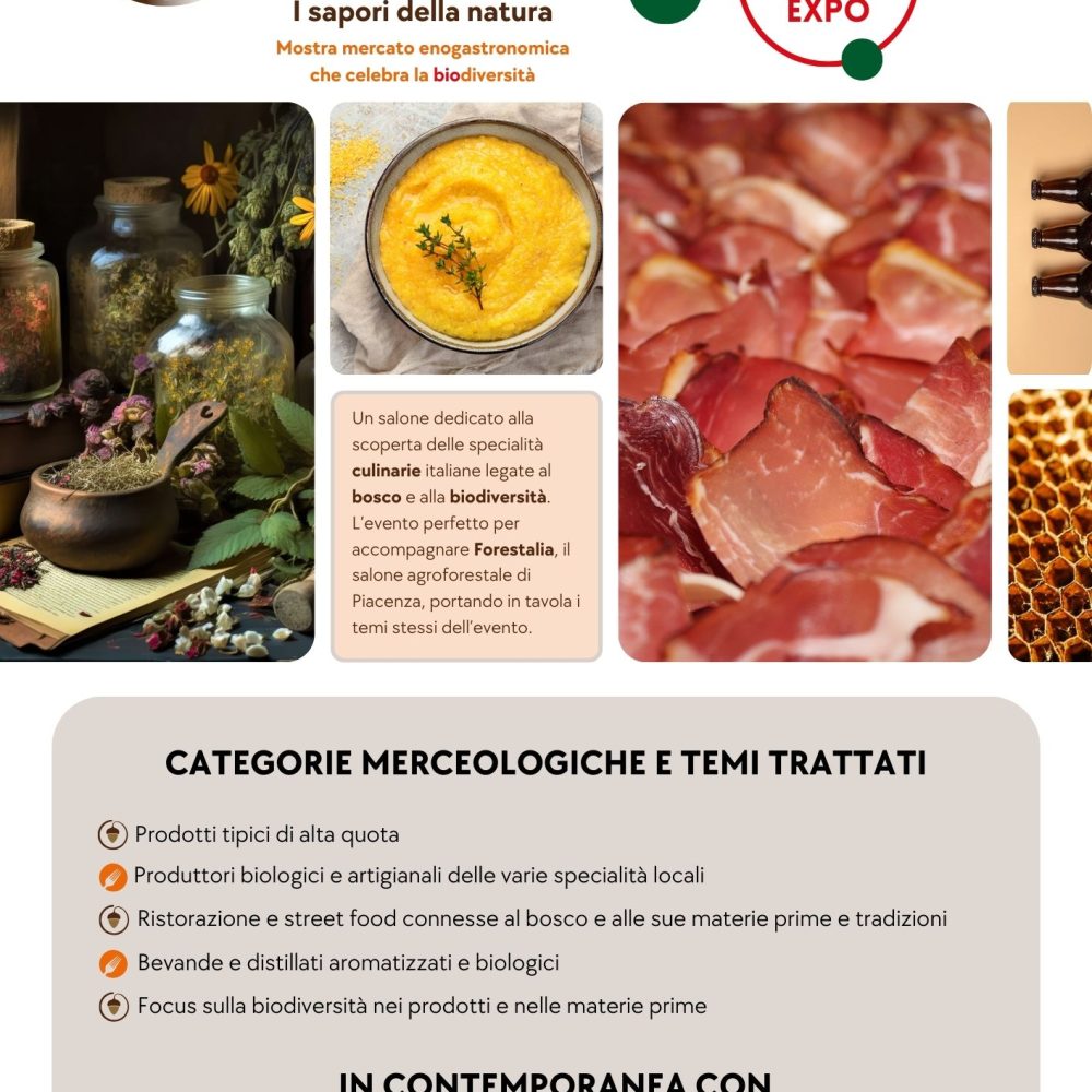 Bosco-in-tavola-25